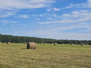 В Нижегородской области выполнено более половины запланированного объема кормозаготовительных работ